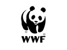 8.webp