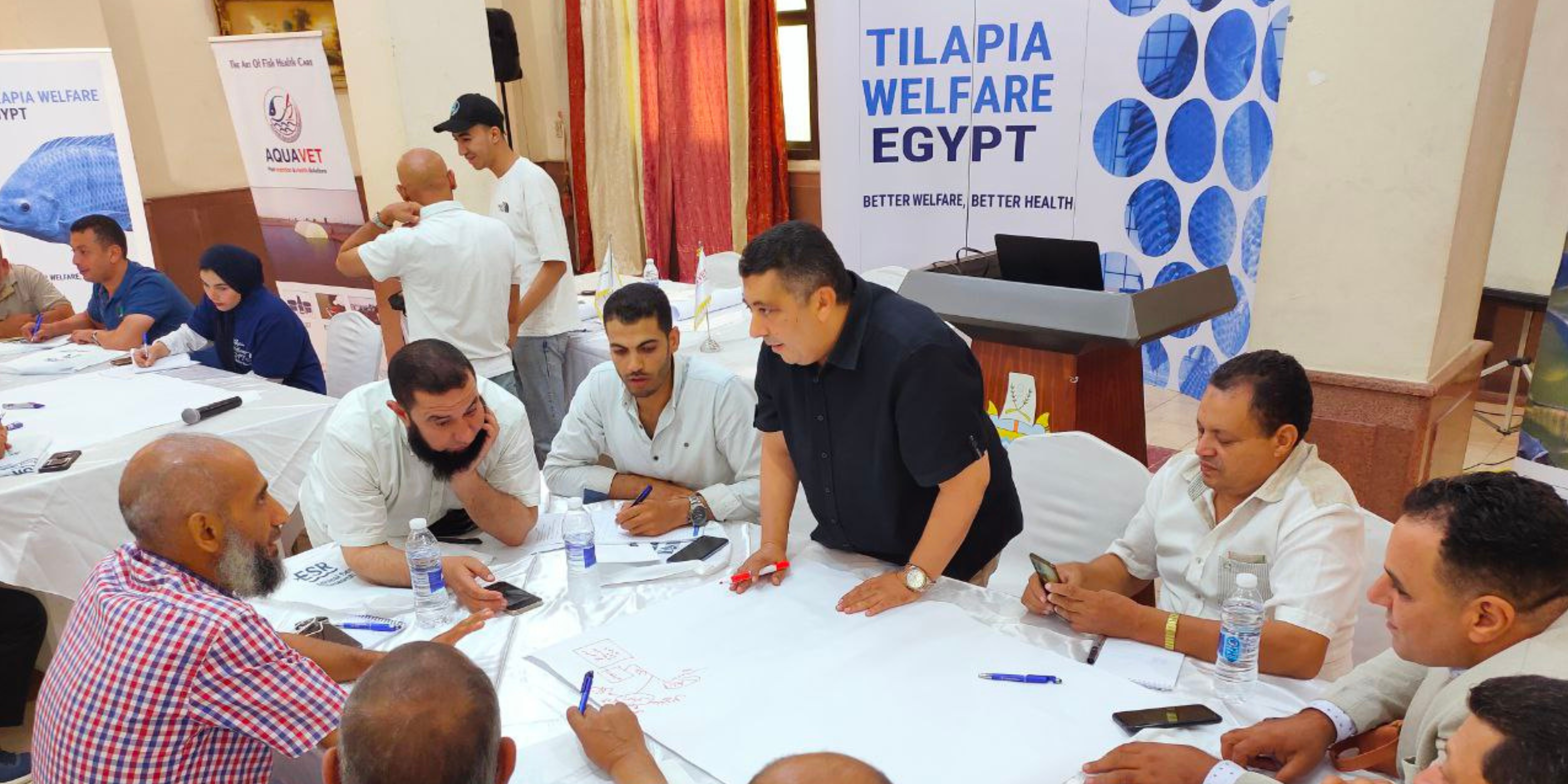 Men talking around a table with a banner that says "Tilapia Welfare Egypt" on the background